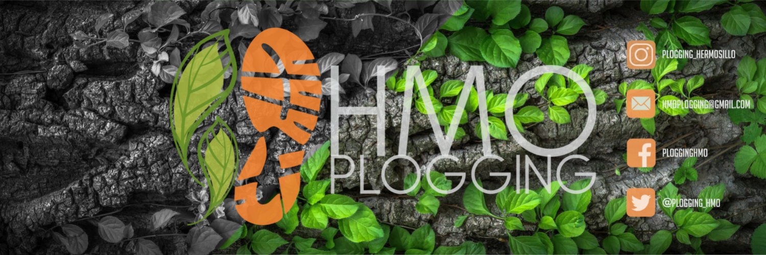 Hermosillo Plogging banner