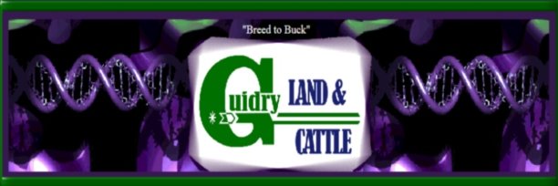 Vernon Guidry banner
