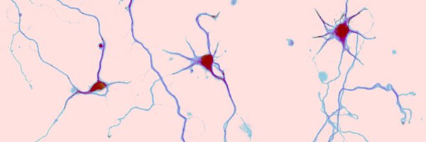 ratherbecloning Profile Banner
