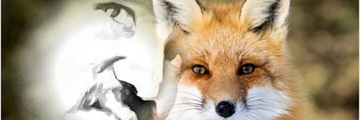 dalladoo20's profile banner image
