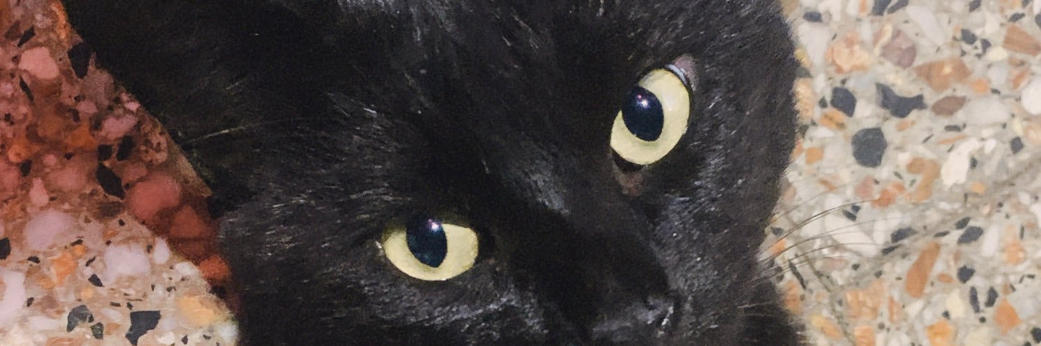 vickyfigueiras's profile banner image