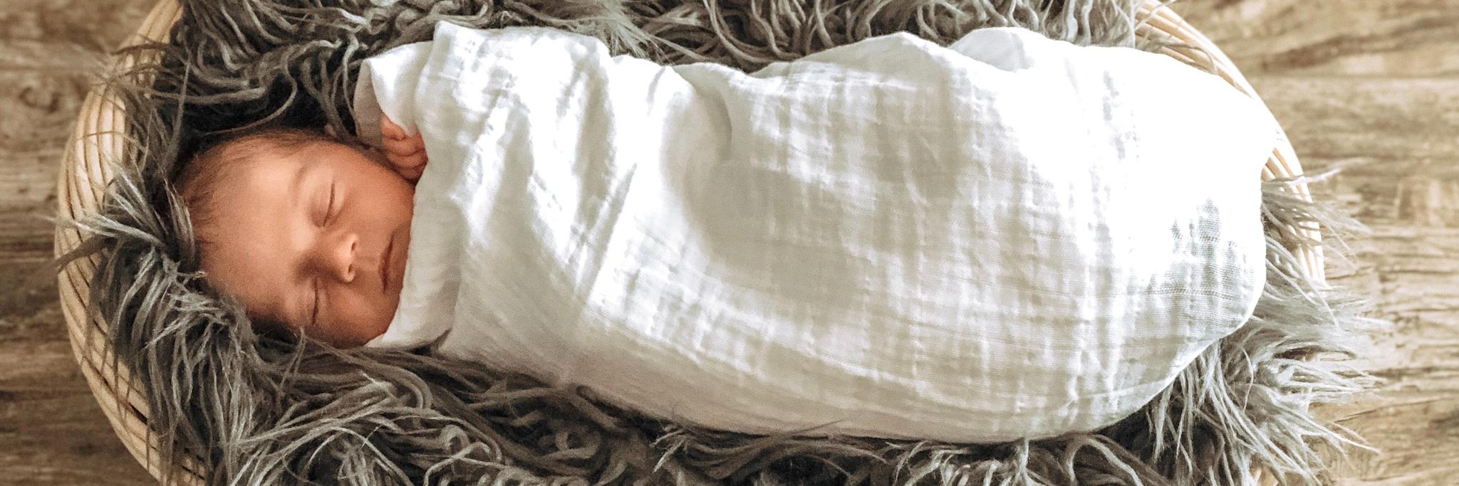 chels_palmer's profile banner image