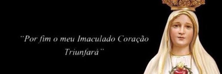 RobertaAnjos3's profile banner image