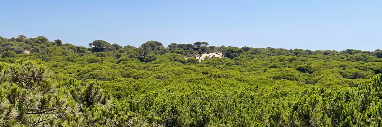 Sergio Arjona banner