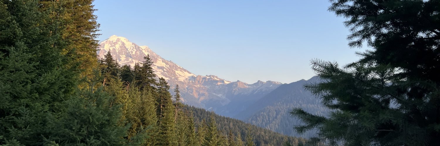 calla_meyer's profile banner image