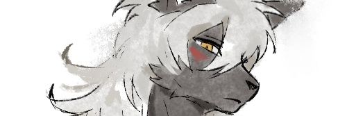 MisakaKitsune's profile banner image
