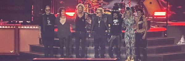 LemonLi67573569 Profile Banner