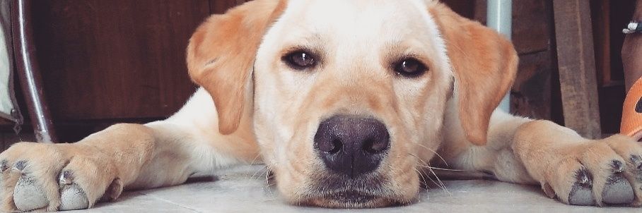 manupichimil's profile banner image