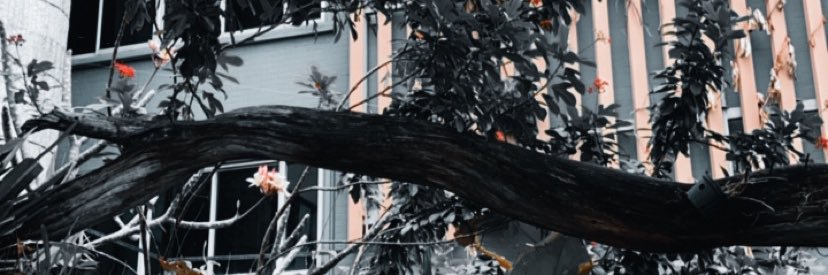 PhuBp's profile banner image