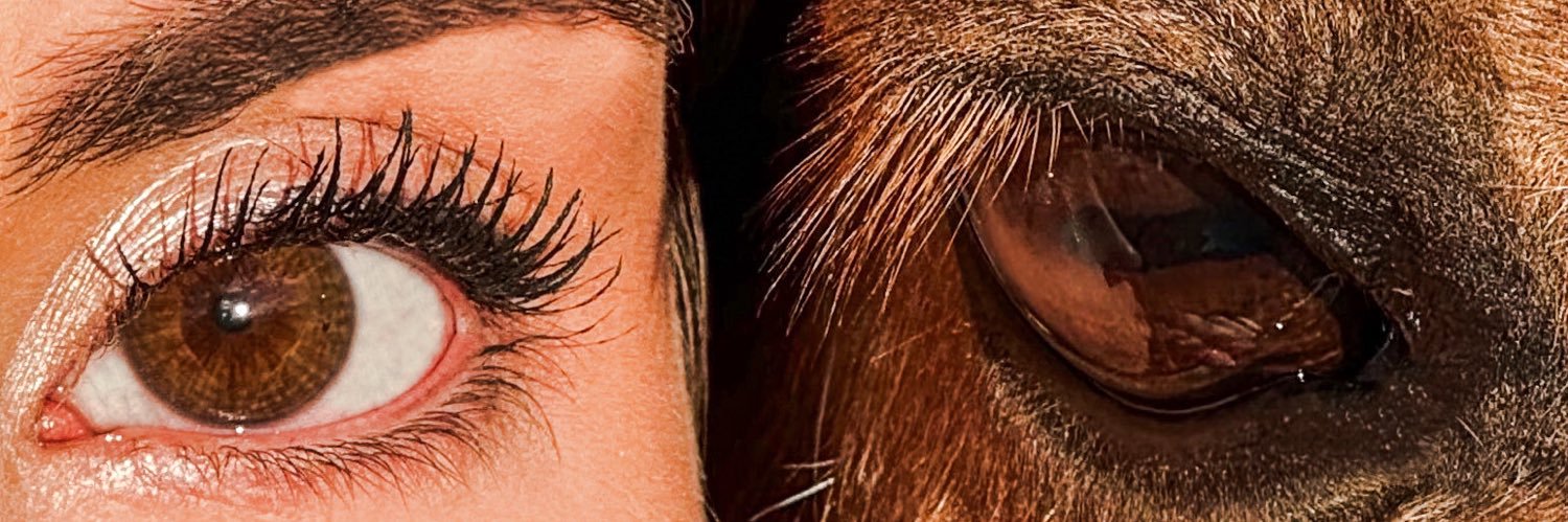 _cris0117's profile banner image