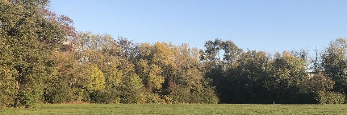 handsound's profile banner image