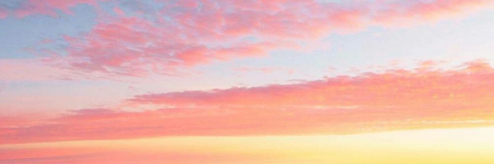 Lise_Dtl's profile banner image