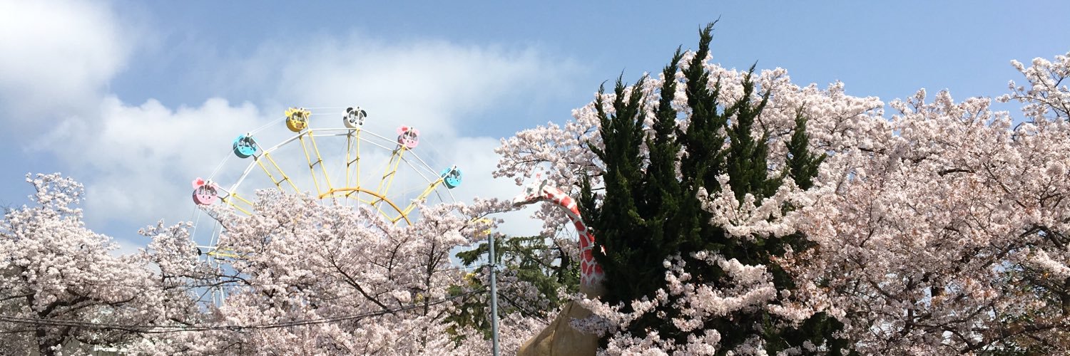 scemizuno's profile banner image