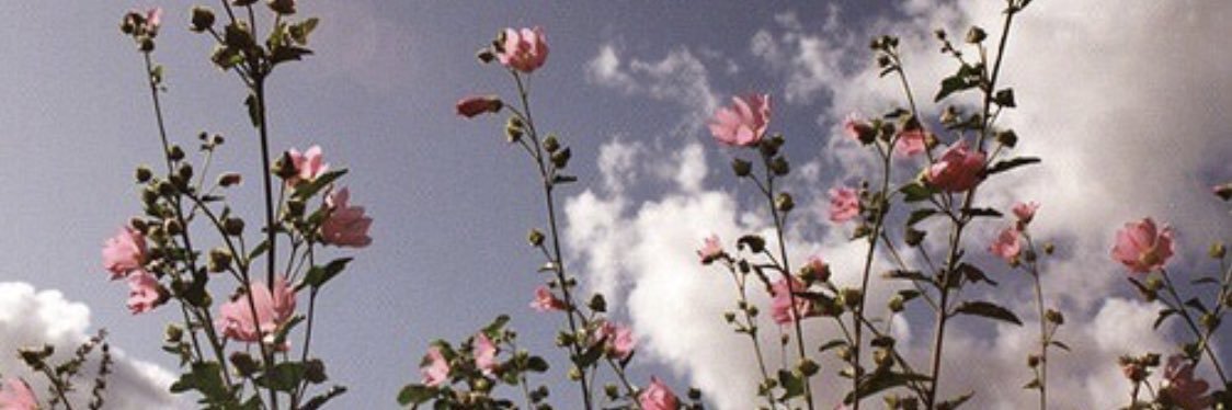 manarr99's profile banner image