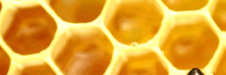 DepthPsychology List banner