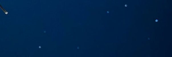 _xsbm's profile banner image