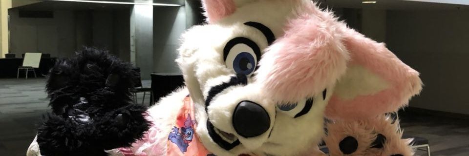 Tuftsfox's profile banner image