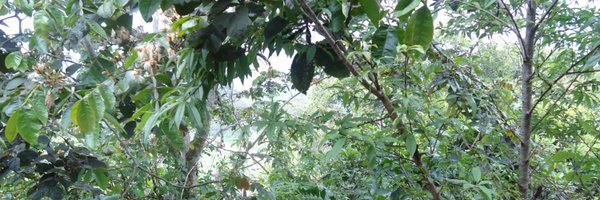 NayeMill48 Profile Banner