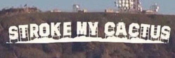 cactusown Profile Banner