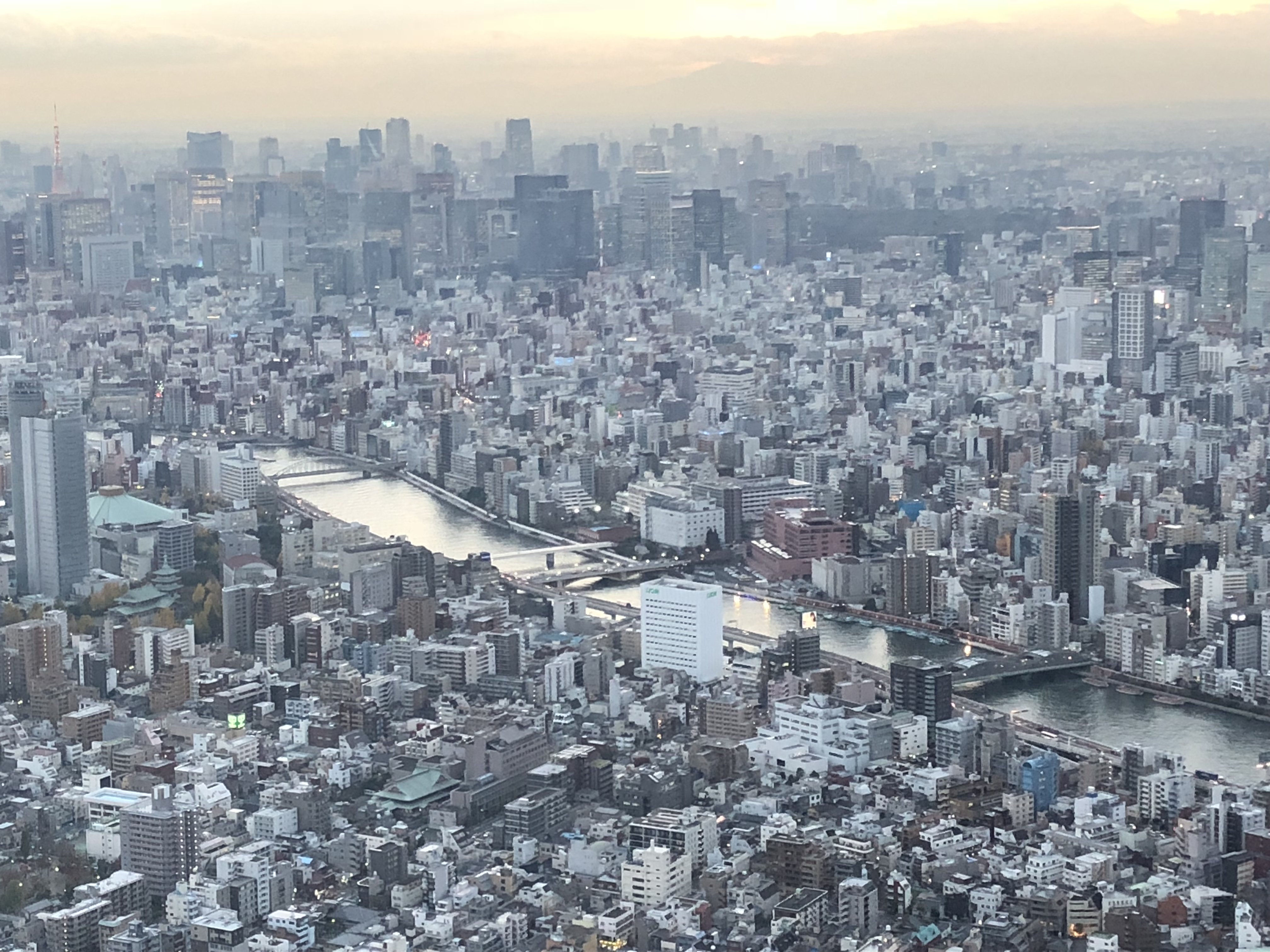 Fernando Carrettoni banner