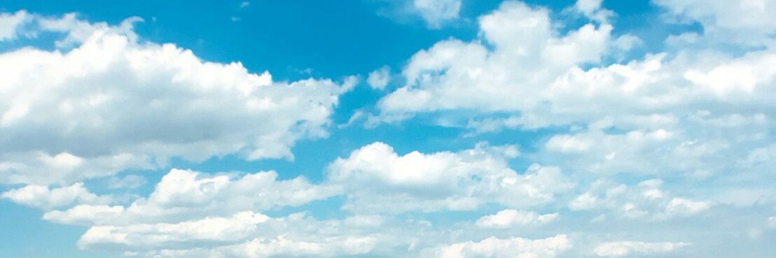 うさぎ菜 banner