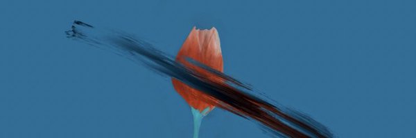 623px Profile Banner