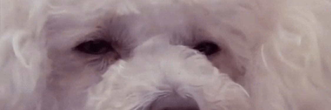 Crystal Lewis @cghlewis.bsky.social's banner