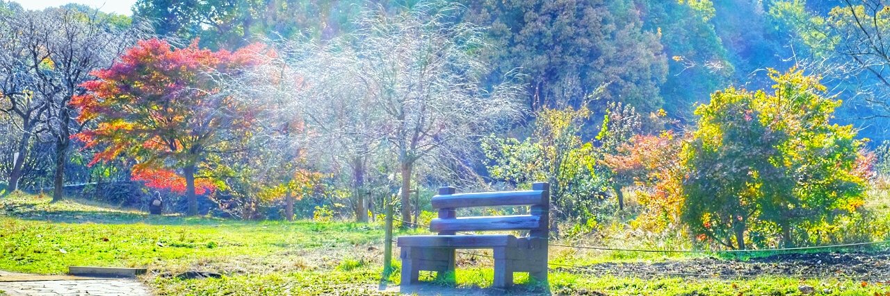 ᒎᖇ੫ᗯᗪᑌ / ᖇƳᗝさん🇯🇵 banner