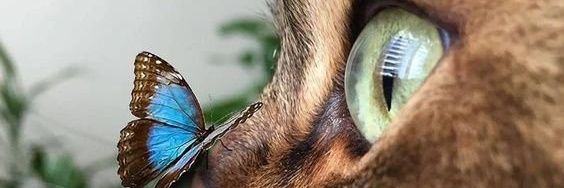 Lusejas's profile banner image