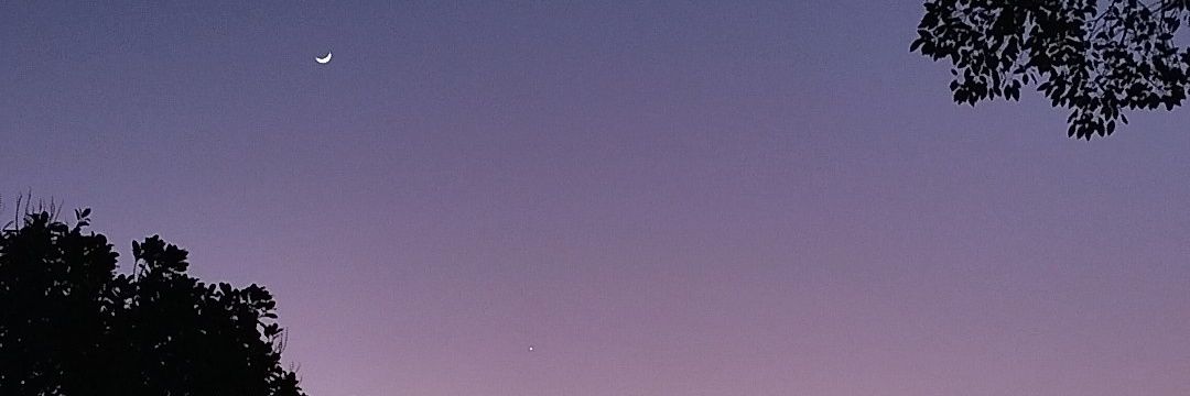 izaxz's profile banner image