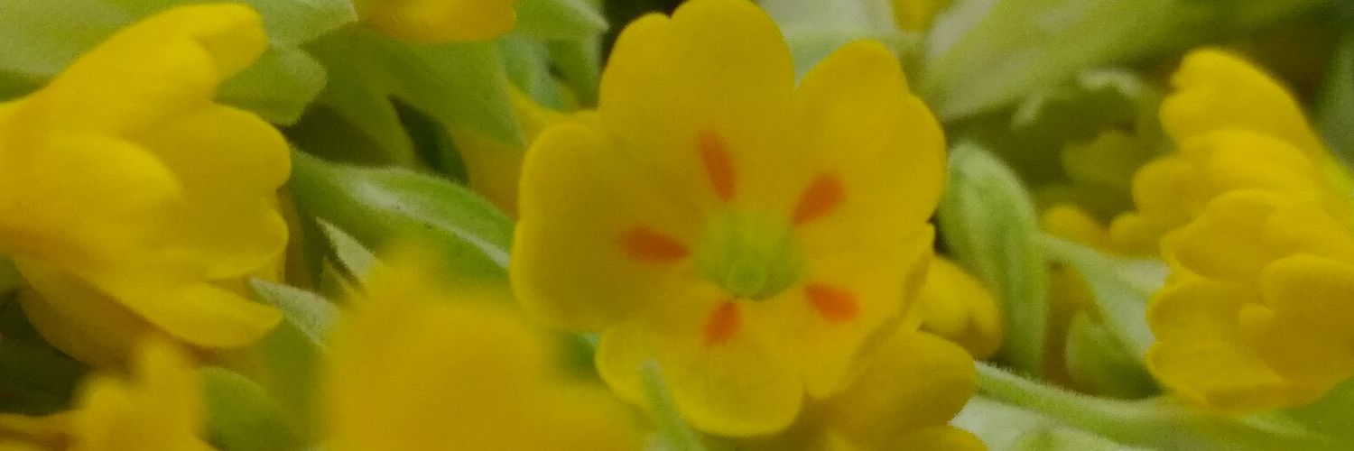 Epione2's profile banner image