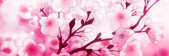 herupin's profile banner image