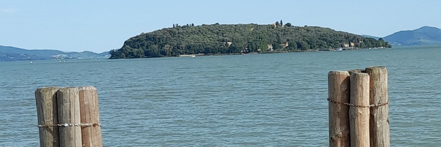 Պario  Պoroni banner