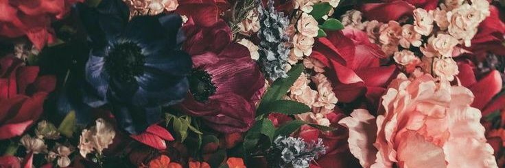 Jaycee Alexander banner