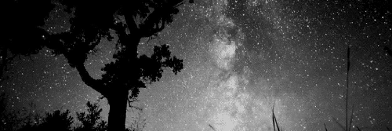 bweebearr's profile banner image