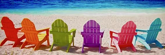 Barbara Baska banner