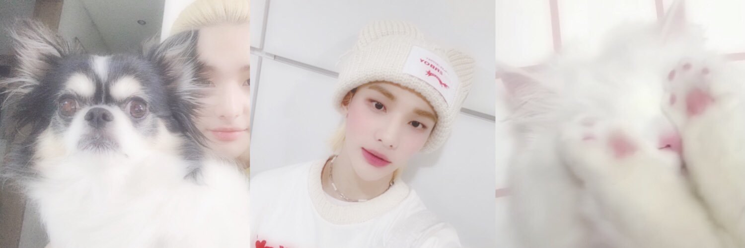 라나 banner