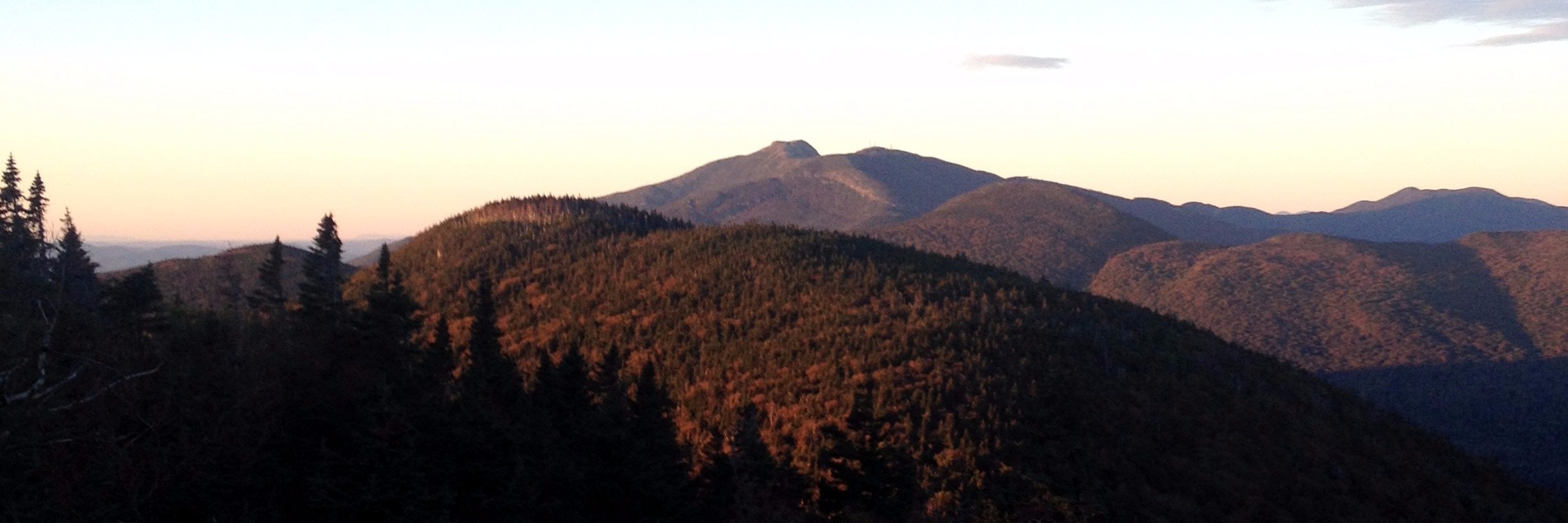 Jonathan White banner