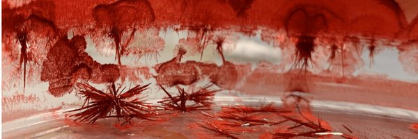 RuncevskiLab Profile Banner