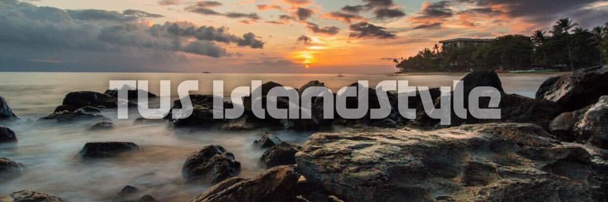 TUS IslandStyle banner