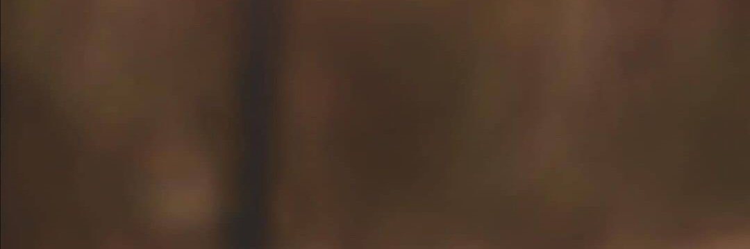 ramoonh10's profile banner image