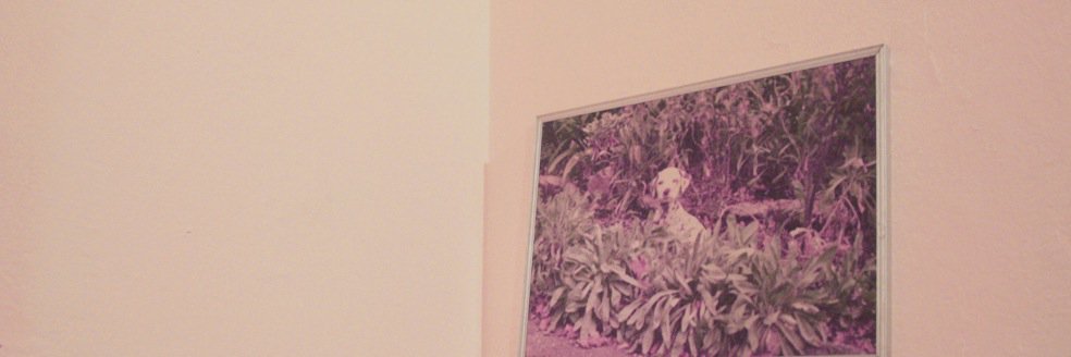googrrrl's profile banner image