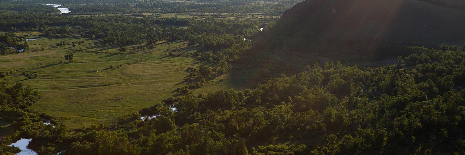 Otavio Ferreira banner