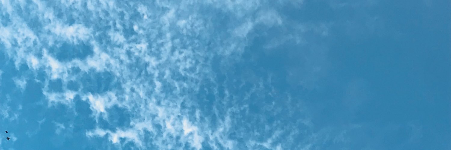miriamozer's profile banner image