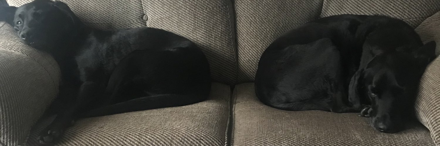 redbob77's profile banner image