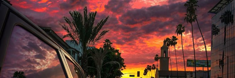 molliecdoyle's profile banner image