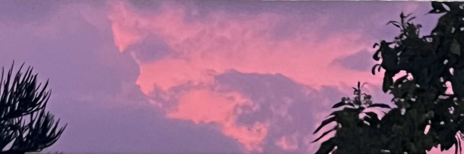 more than a woman banner