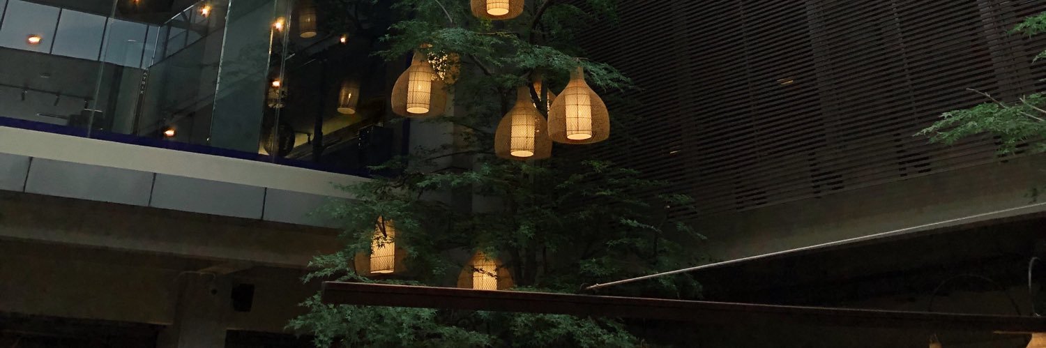 dendenRCM's profile banner image