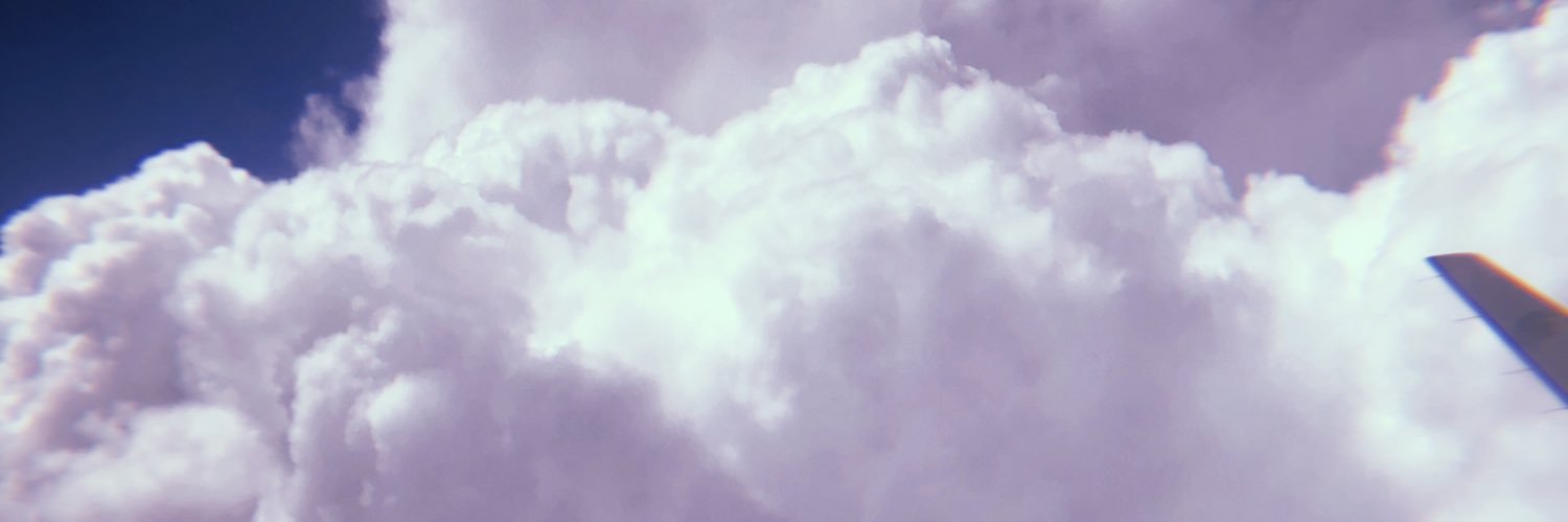 señoraScorcecy banner