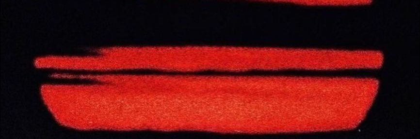 VeronicaTorbis's profile banner image